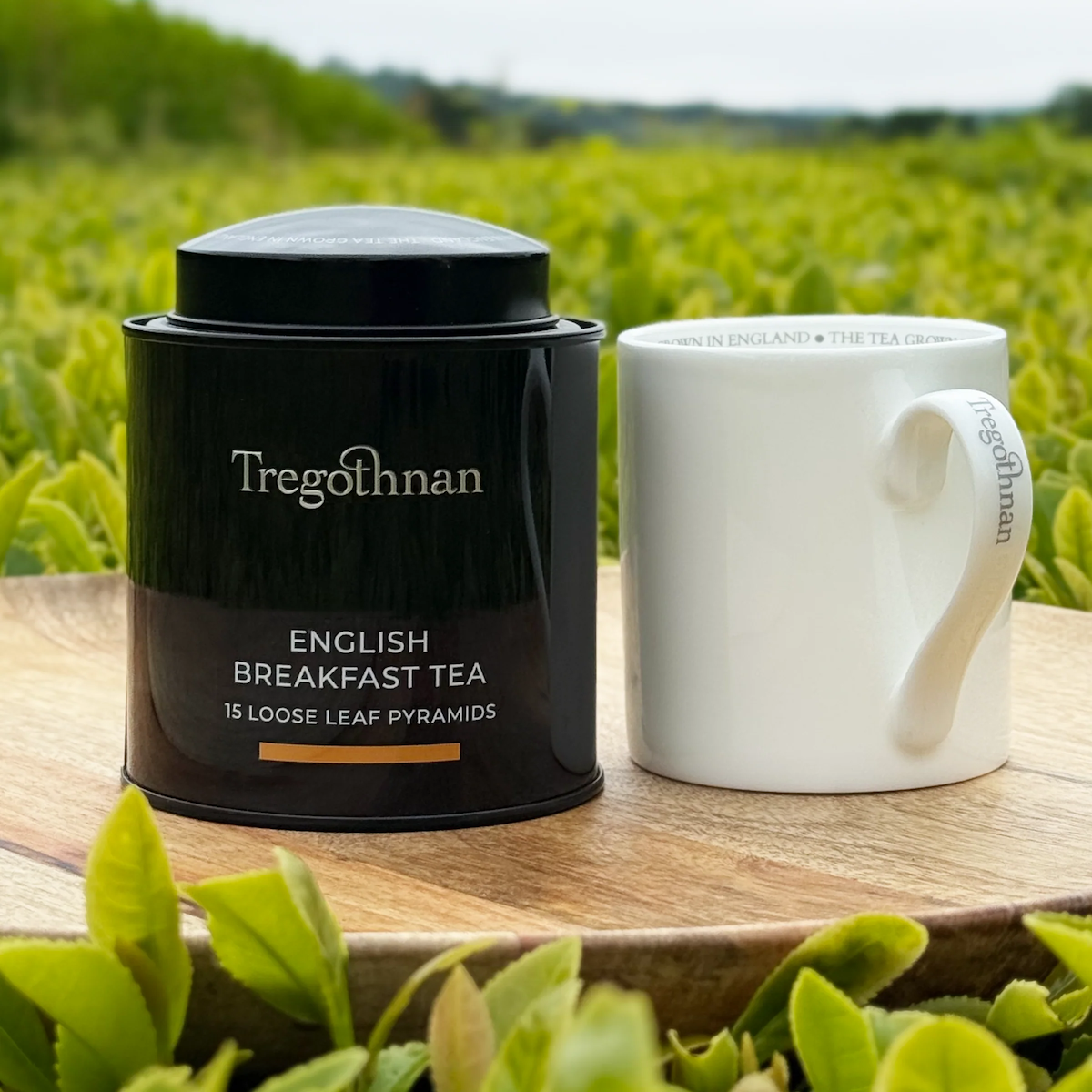 Tregothnan tea image