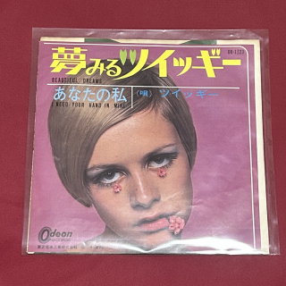 夢みるツイッギー