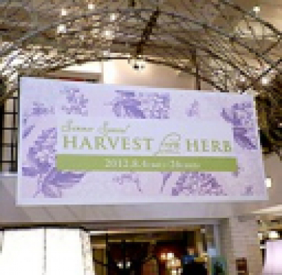 終了しました：HARVEST from HERB